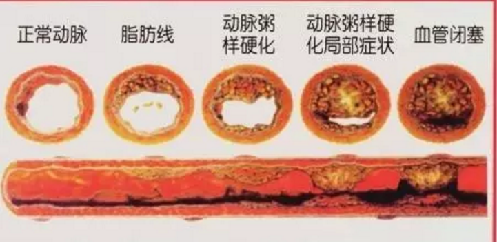 QQ截图20161017141716.png