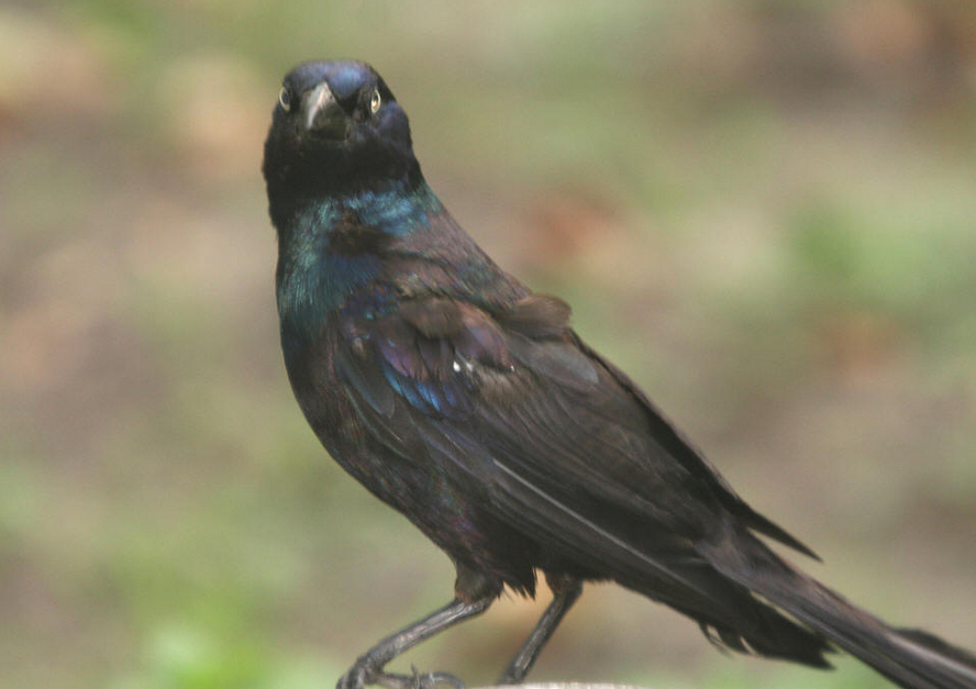 1477472911623444.png QQ截图20161026170757.png